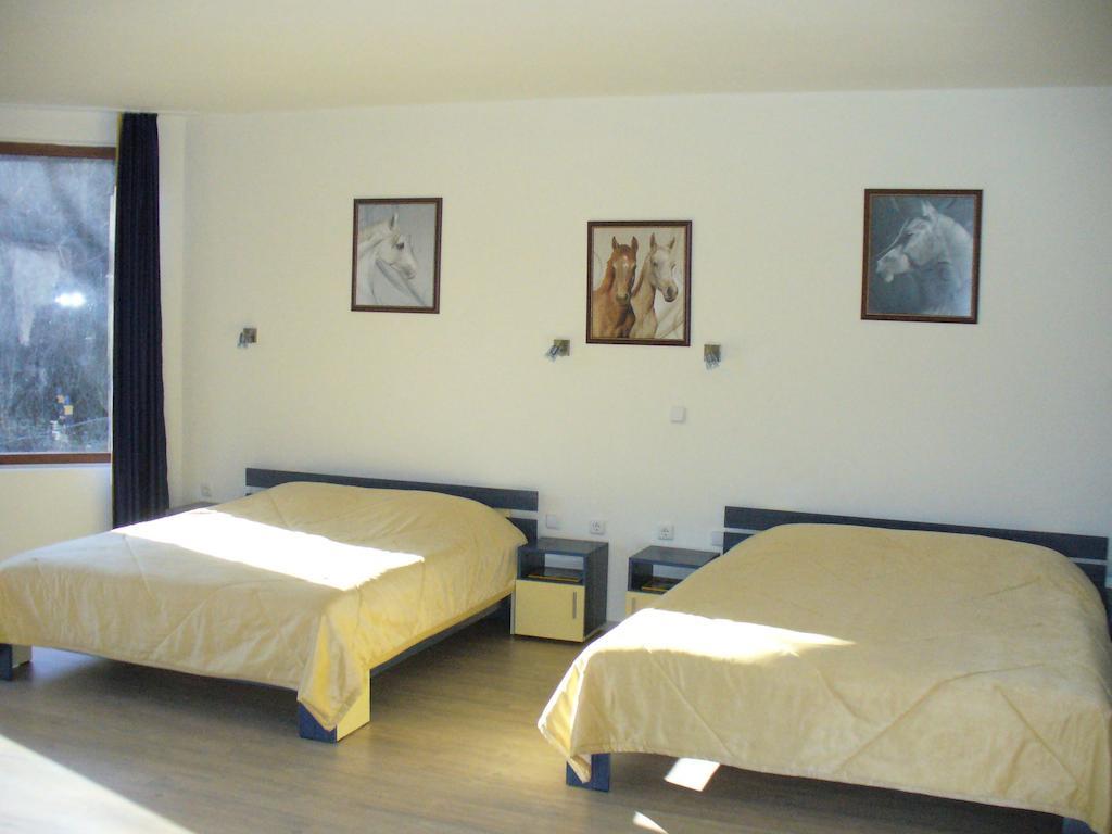 Balkanets  Guest House Alfa Daniel חדר תמונה