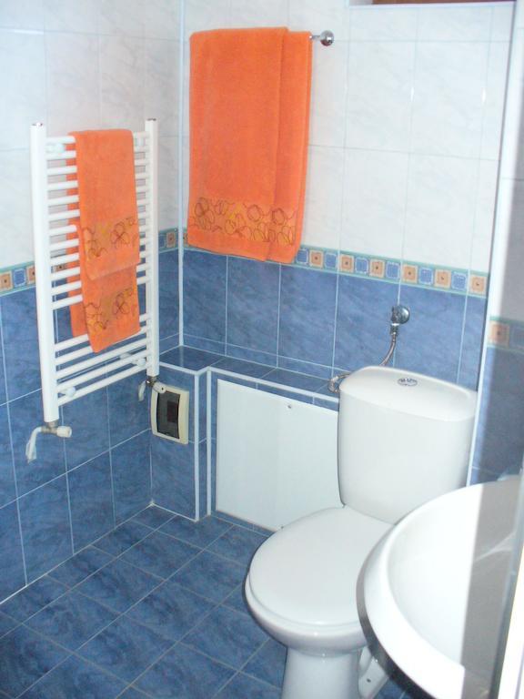 Balkanets  Guest House Alfa Daniel חדר תמונה