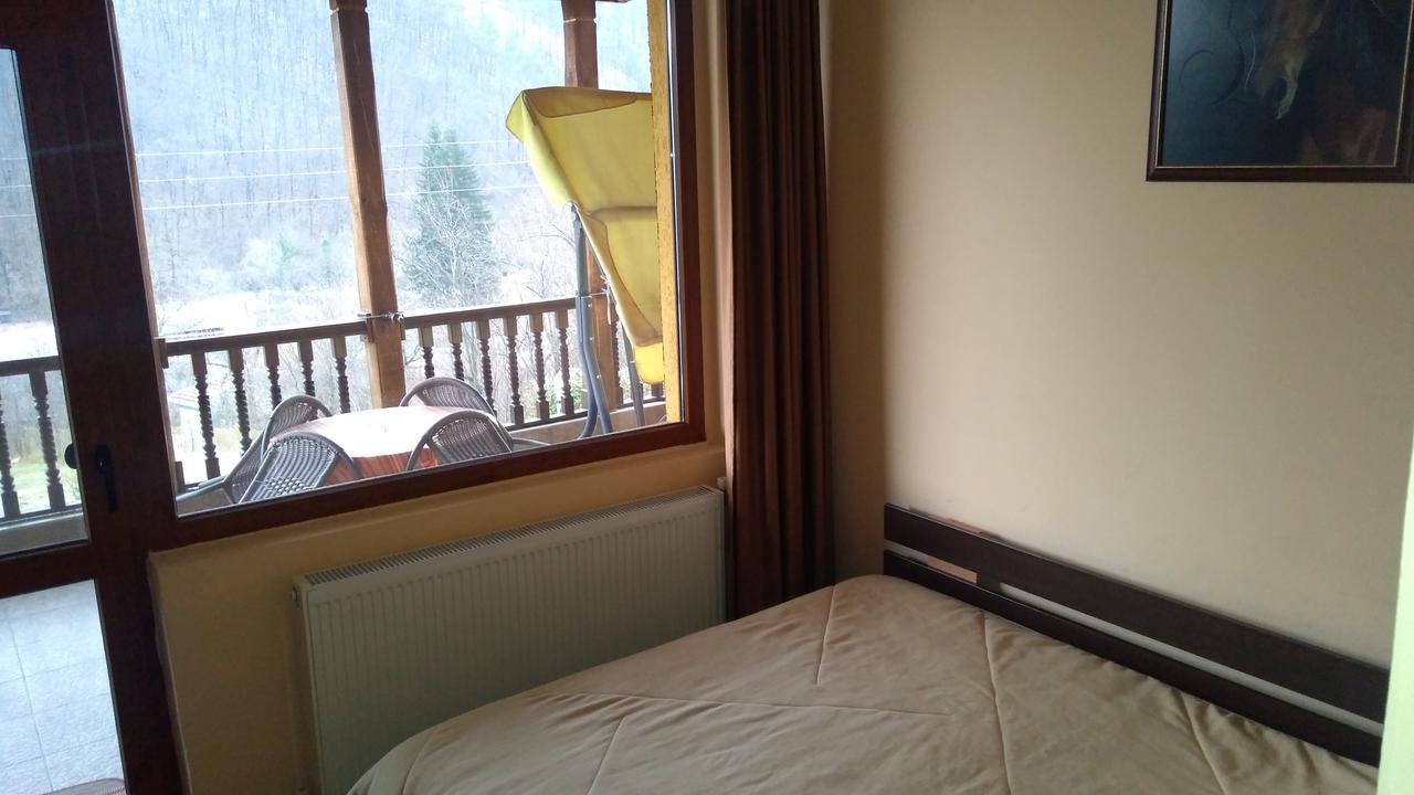 Balkanets  Guest House Alfa Daniel מראה חיצוני תמונה