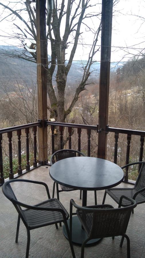 Balkanets  Guest House Alfa Daniel מראה חיצוני תמונה