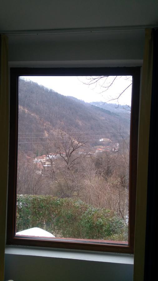 Balkanets  Guest House Alfa Daniel מראה חיצוני תמונה
