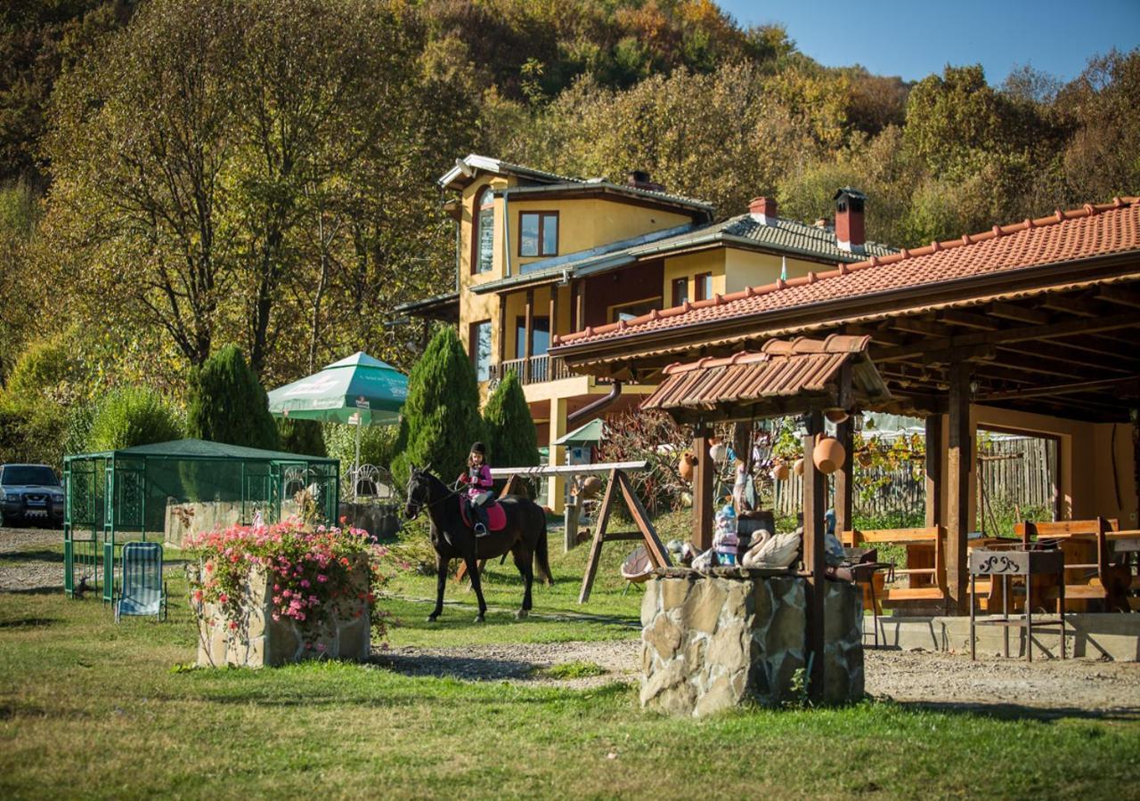 Balkanets  Guest House Alfa Daniel מראה חיצוני תמונה